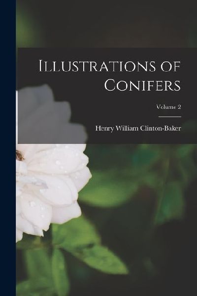 Illustrations of Conifers; Volume 2
