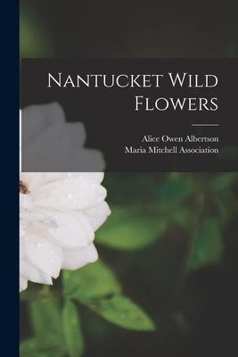 Nantucket Wild Flowers