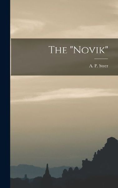 The "Novik"