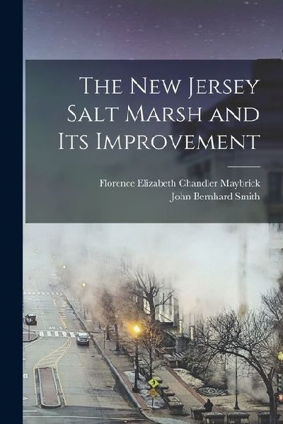 The New Jersey Salt Marsh and Its Improvement