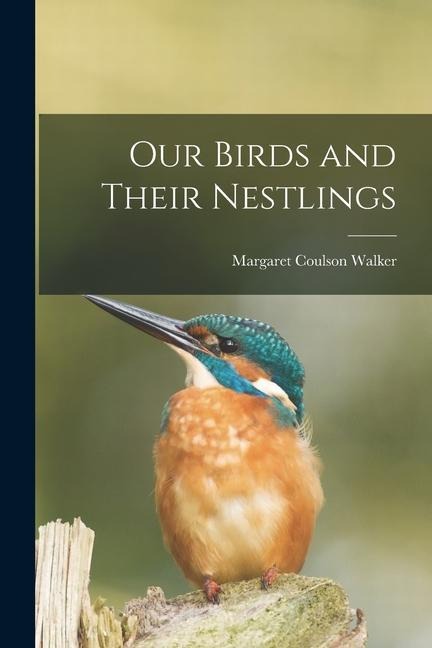 Our Birds and Their Nestlings