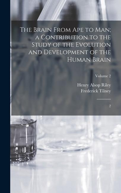 The Brain From ape to man; a Contribution to the Study of the Evolution and Development of the Human Brain: 2; Volume 2