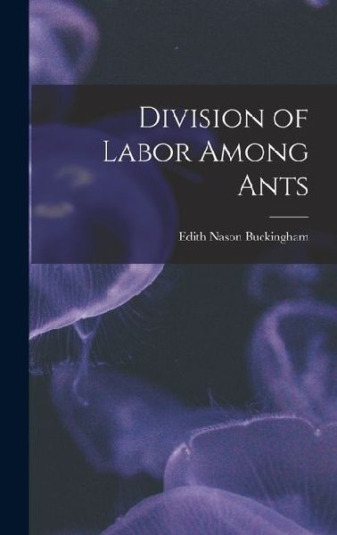 Division of Labor Among Ants