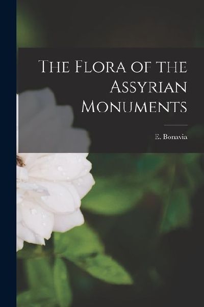 The Flora of the Assyrian Monuments