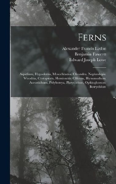 Ferns: Aspidium, Hypoderris, Mesochlaena, Oleandra, Nephrolepis, Woodsia, Cystopteris, Hemionitis, Olfersia, Hymenodium, Acrostichum, Polybotrya, Platycerium, Ophioglossum, Botrychium