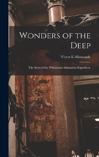 Wonders of the Deep; the Story of the Williamson Submarine Expedition
