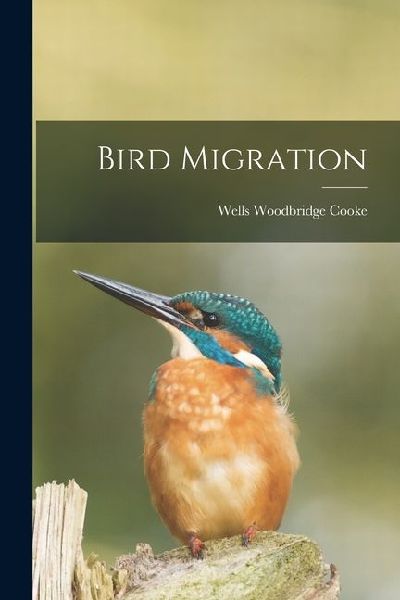 Bird Migration