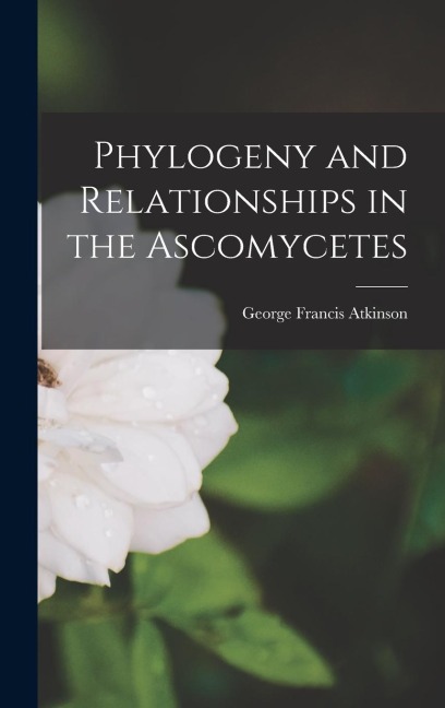 Phylogeny and Relationships in the Ascomycetes