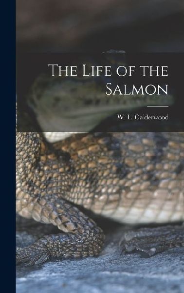The Life of the Salmon