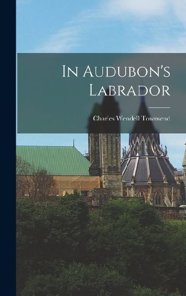 In Audubons Labrador