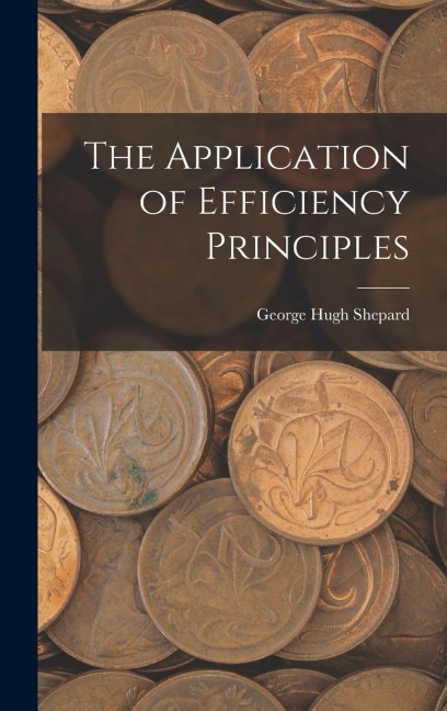 The Application of Efficiency Principles