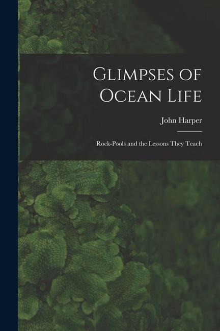 Glimpses of Ocean Life: Rock-Pools and the Lessons They Teach