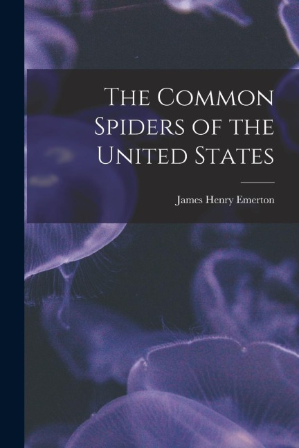 The Common Spiders of the United States