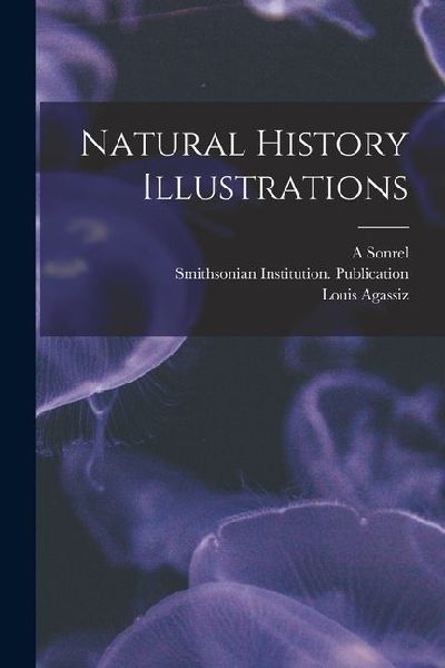 Natural History Illustrations