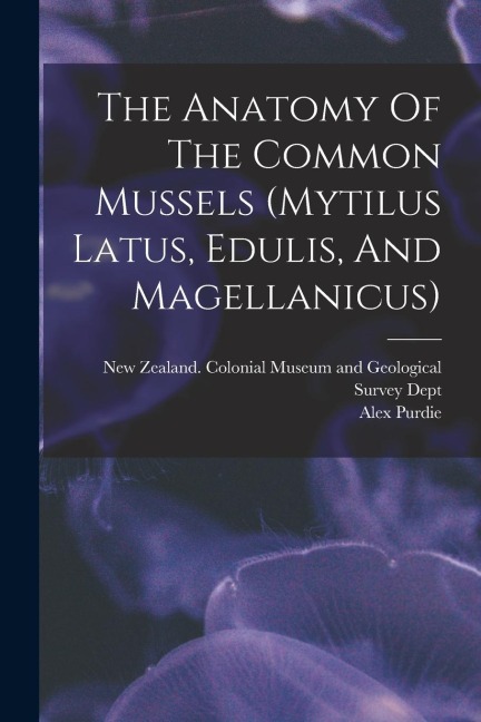 The Anatomy Of The Common Mussels (mytilus Latus, Edulis, And Magellanicus)