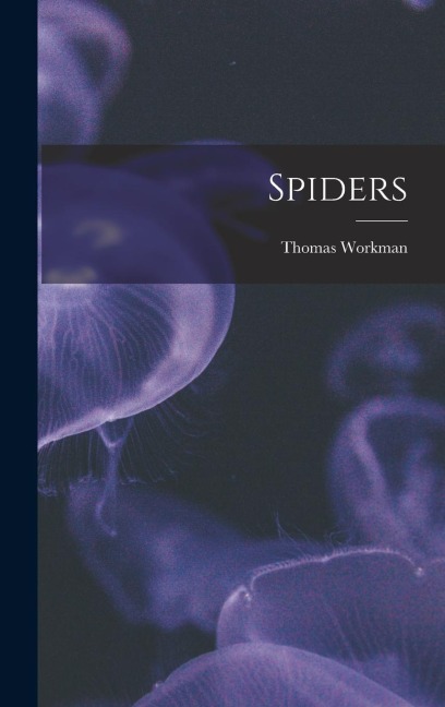 Spiders