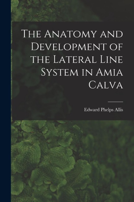 The Anatomy and Development of the Lateral Line System in Amia Calva