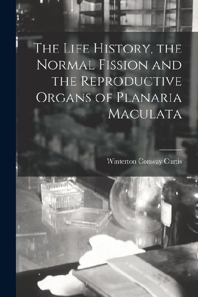 The Life History, the Normal Fission and the Reproductive Organs of Planaria Maculata