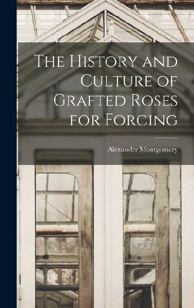 The History and Culture of Grafted Roses for Forcing