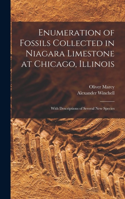 Enumeration of Fossils Collected in Niagara Limestone at Chicago, Illinois; With Descriptions of Several new Species
