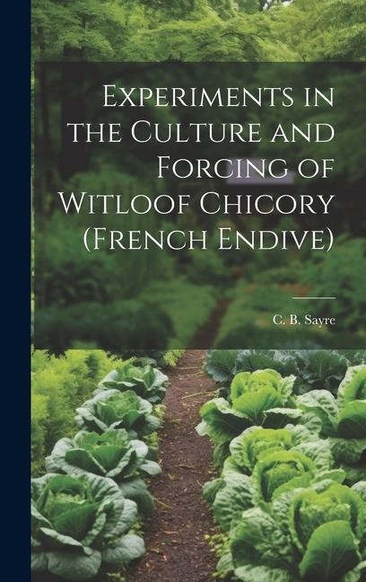 Experiments in the Culture and Forcing of Witloof Chicory (French Endive)