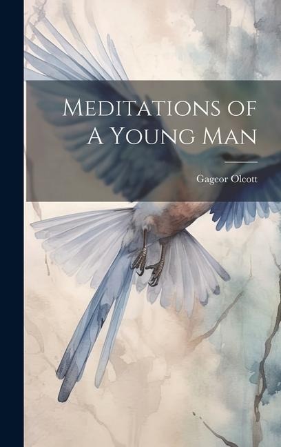 Meditations of A Young Man