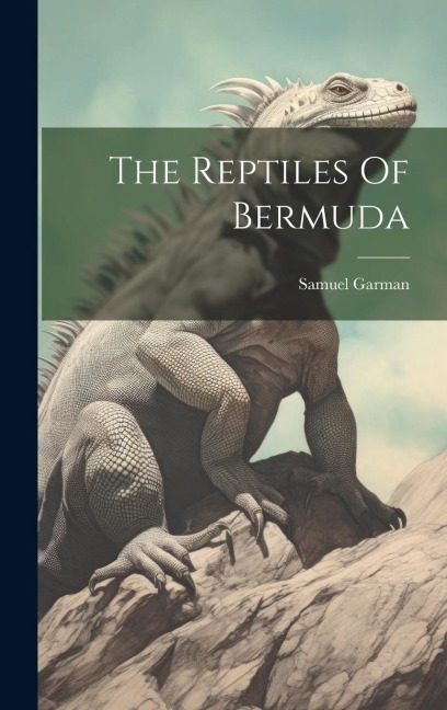 The Reptiles Of Bermuda