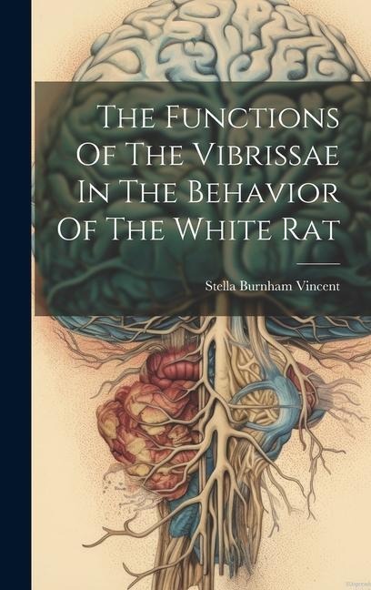 The Functions Of The Vibrissae In The Behavior Of The White Rat