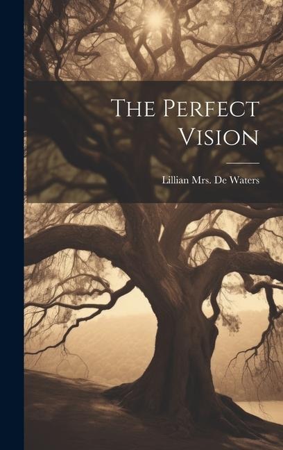 The Perfect Vision