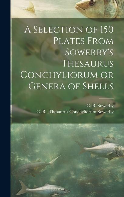 A Selection of 150 Plates From Sowerbys Thesaurus Conchyliorum or Genera of Shells