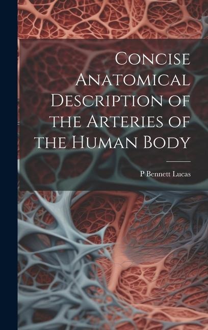 Concise Anatomical Description of the Arteries of the Human Body