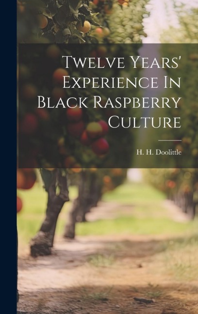 Twelve Years Experience In Black Raspberry Culture