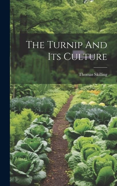 The Turnip And Its Culture