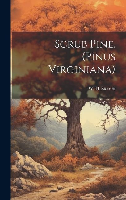Scrub Pine. (Pinus Virginiana)