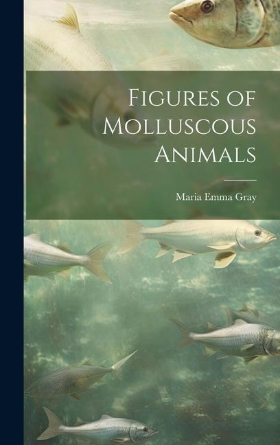 Figures of Molluscous Animals