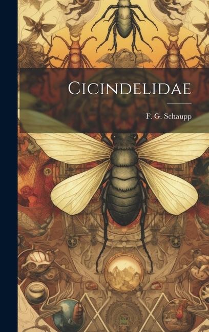 Cicindelidae