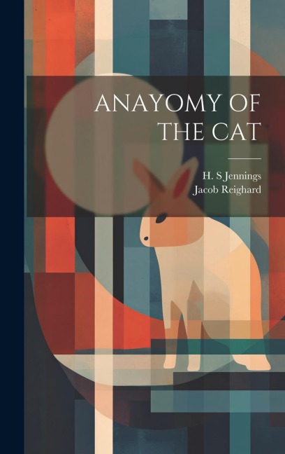 Anayomy of the Cat