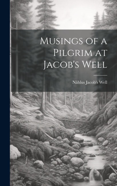 Musings of a Pilgrim at Jacob's Well
