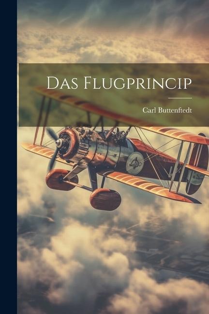 Das Flugprincip