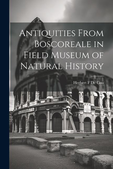 Antiquities From Boscoreale in Field Museum of Natural History