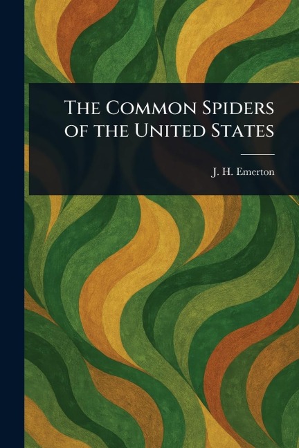 The Common Spiders of the United States
