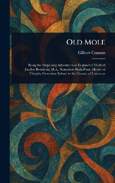 Old Mole