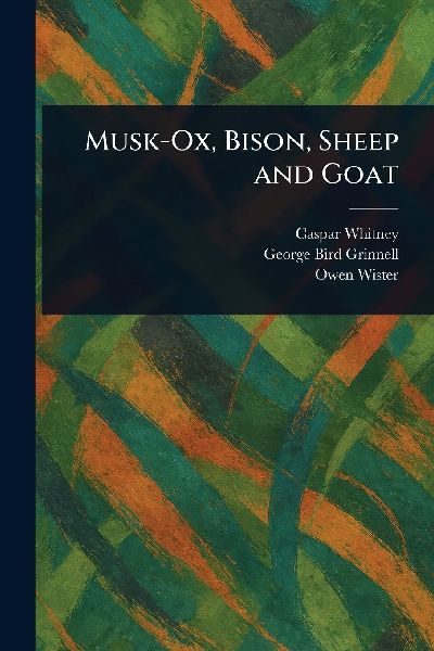 Musk-Ox, Bison, Sheep and Goat