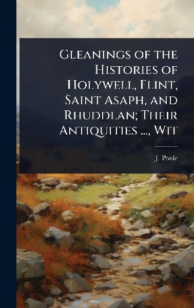 Gleanings of the Histories of Holywell, Flint, Saint Asaph, and Rhuddlan; Their Antiquities ..., Wit