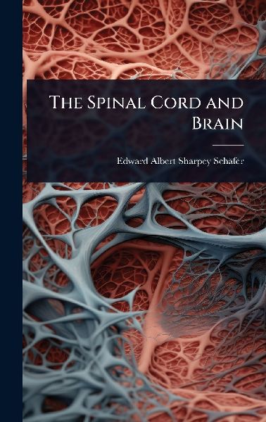The Spinal Cord and Brain