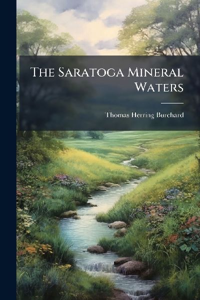 The Saratoga Mineral Waters