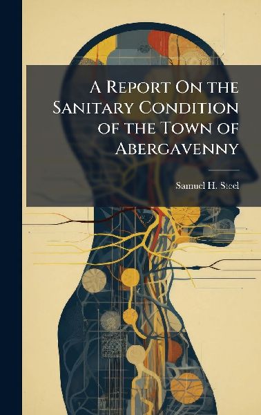 A Report On the Sanitary Condition of the Town of Abergavenny