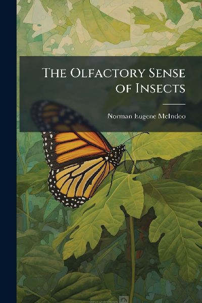 The Olfactory Sense of Insects