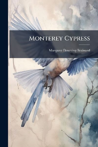Monterey Cypress