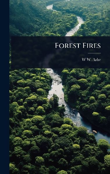Forest Fires
